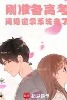 Cương Chuẩn Bị Cao Khảo, Ly Hôn Nghịch Tập Hệ Thống Lai Liễu